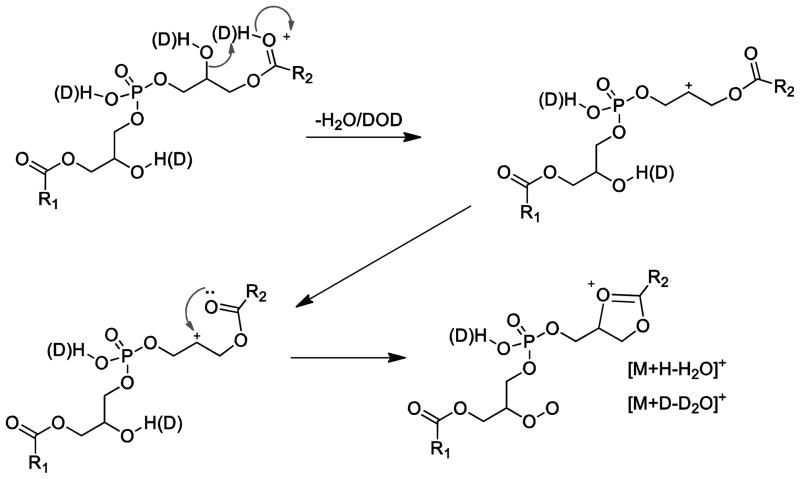 Scheme 3