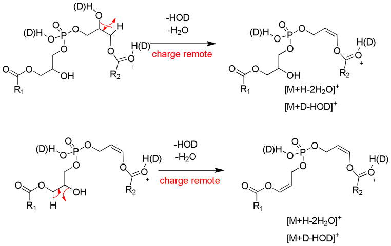 Scheme 5