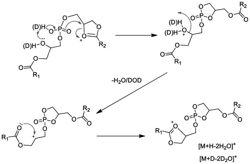 Scheme 4