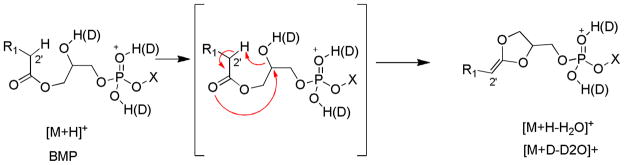 Scheme 6