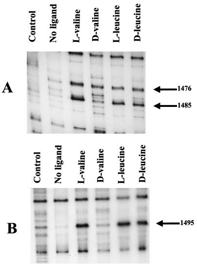 FIG. 6