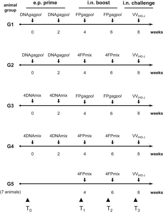 Fig. 1