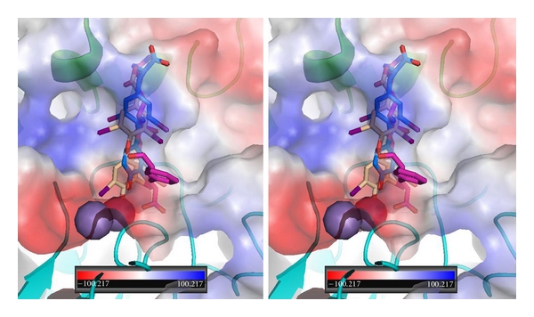 Figure 6