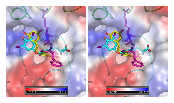 Figure 13