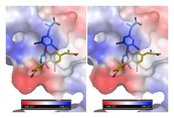 Figure 5