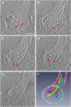 Fig. 2.