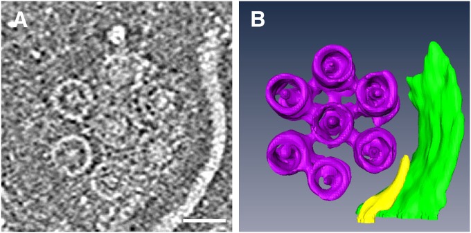 Fig. 4.