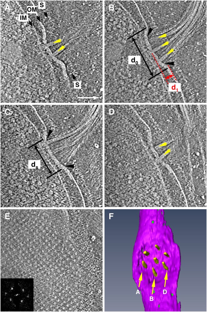 Fig. 3.