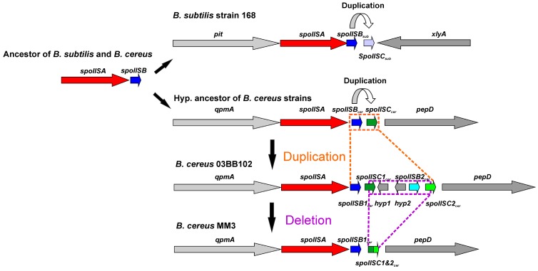 Figure 9