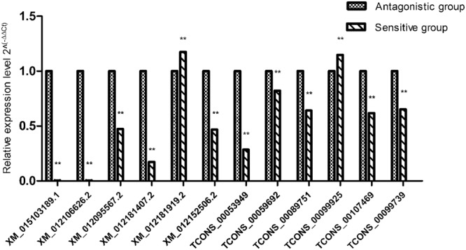 Figure 6