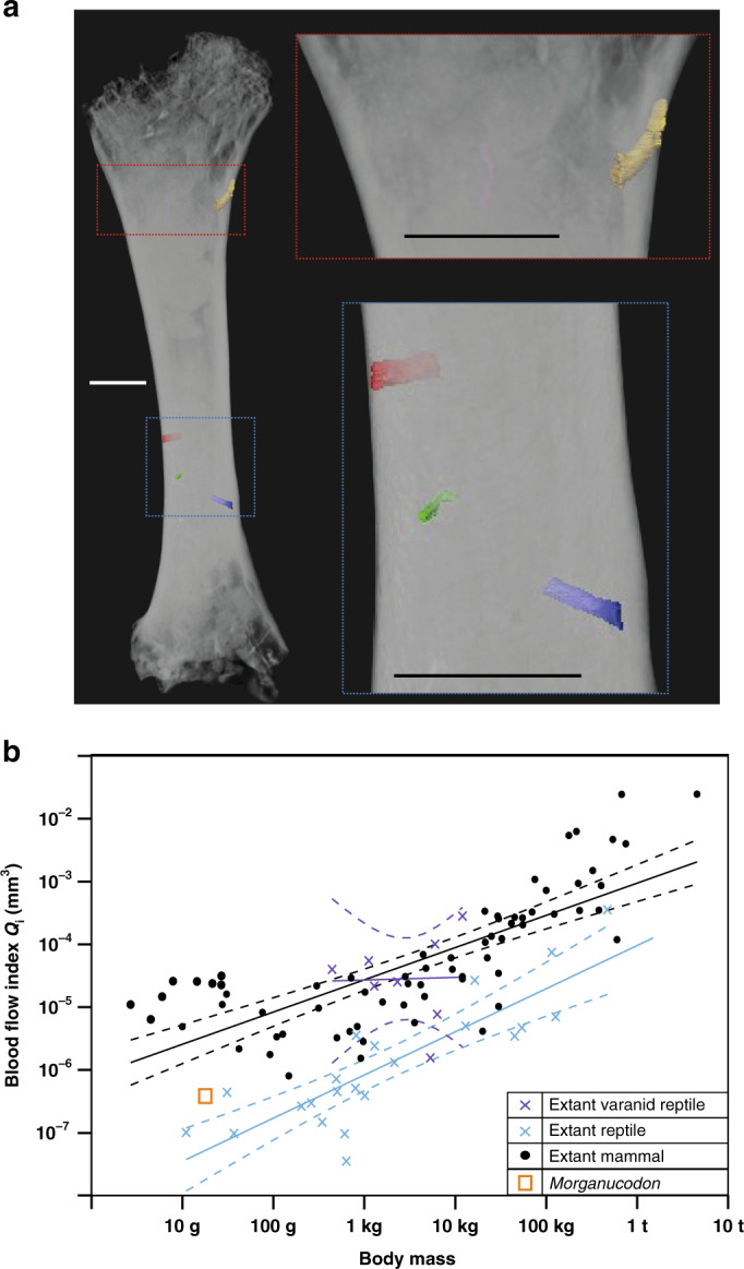 Fig. 7