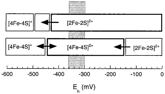 Figure 7: