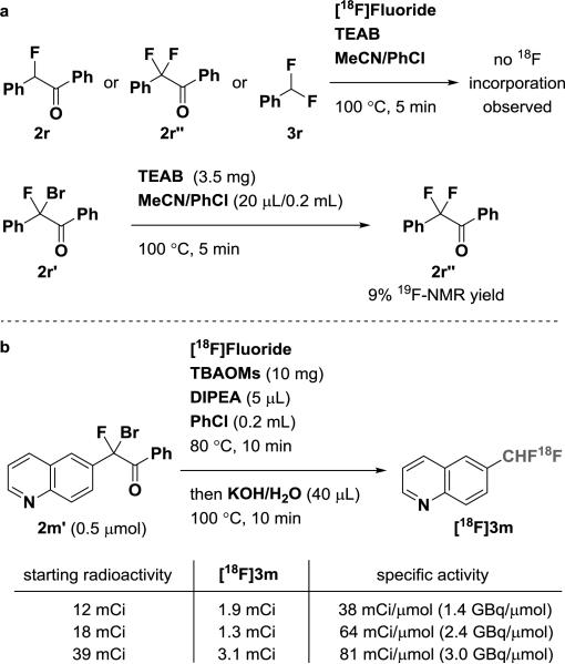 Scheme 3