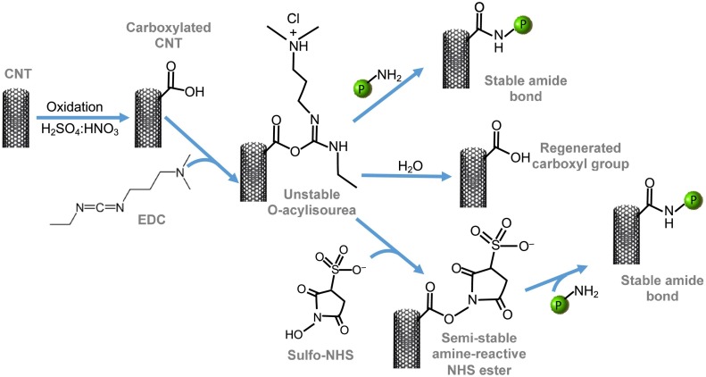 Fig. 11