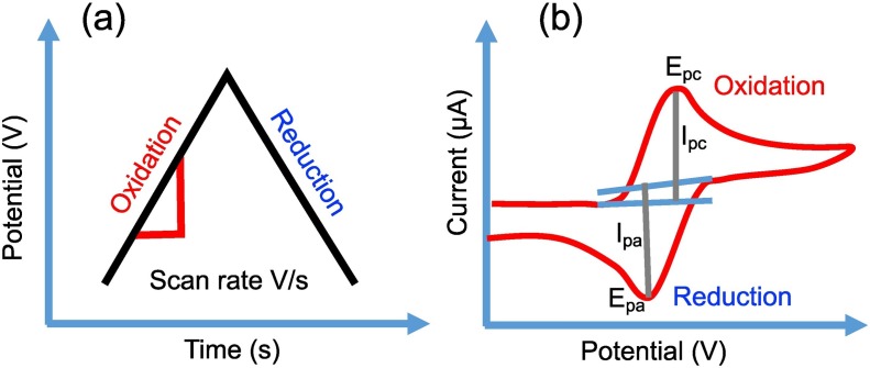 Fig. 7