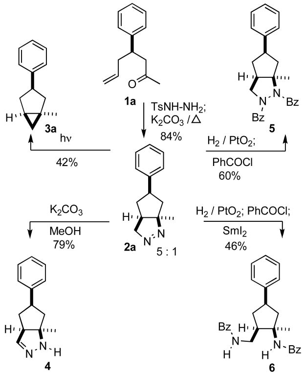 Scheme 1