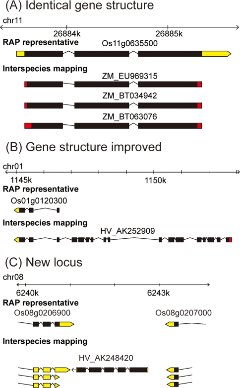 Figure 5