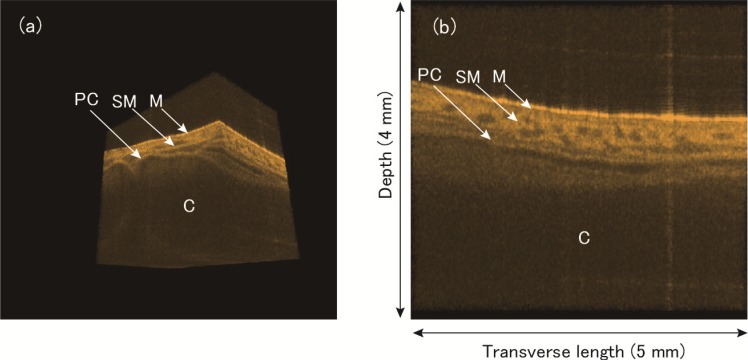 Fig. 13