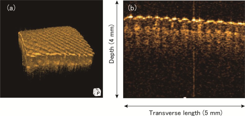 Fig. 14