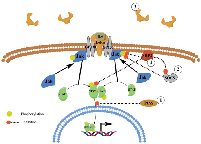 FIGURE 2