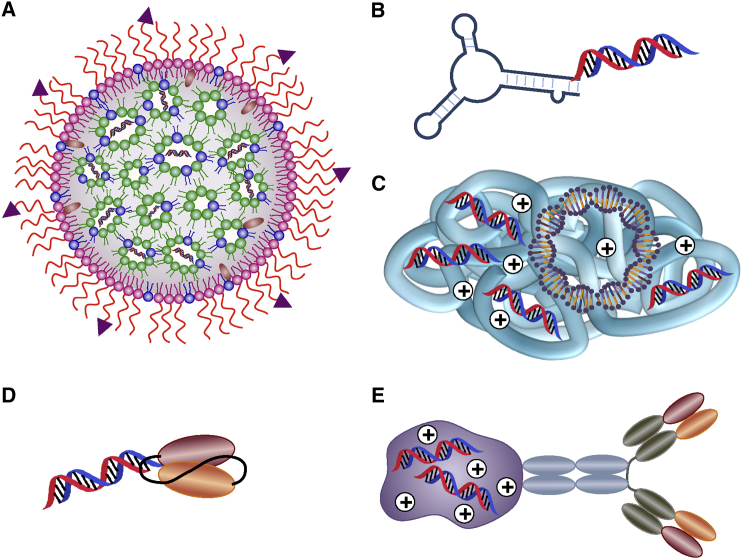 Figure 1