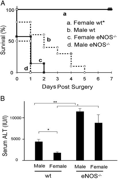 Fig 2.