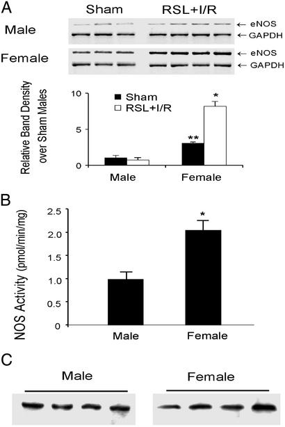 Fig 1.