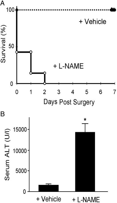 Fig 3.