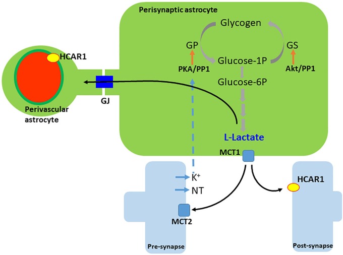 FIGURE 2