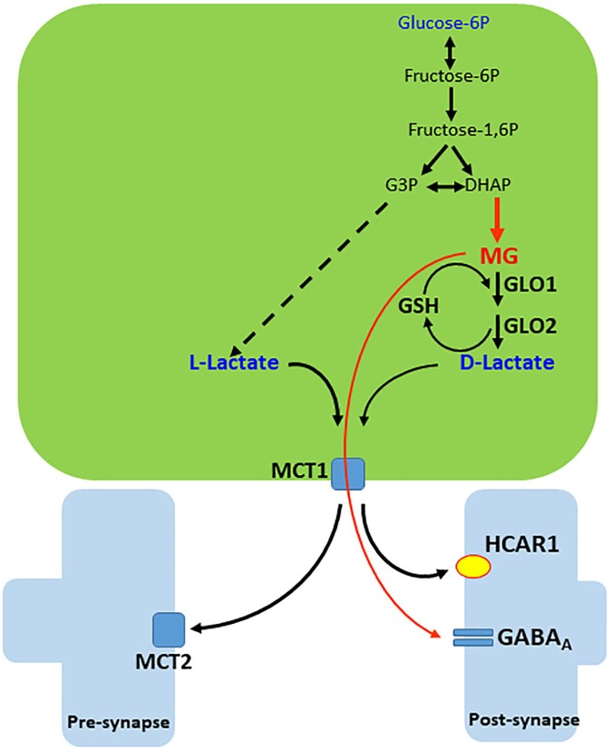 FIGURE 3