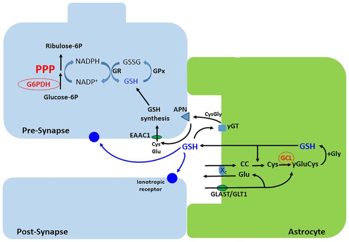 FIGURE 4