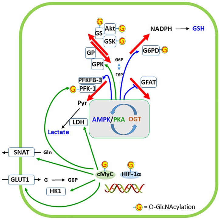 FIGURE 6