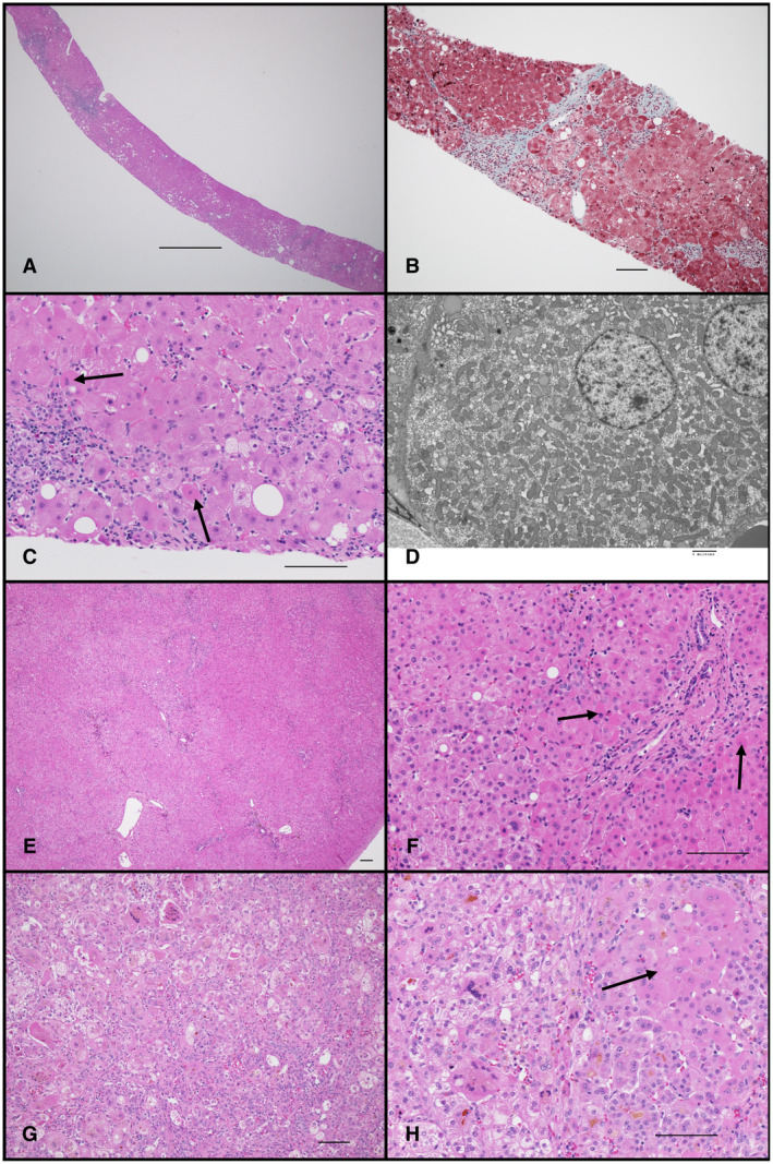 FIG 2