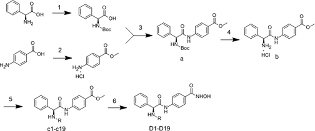 Scheme 1