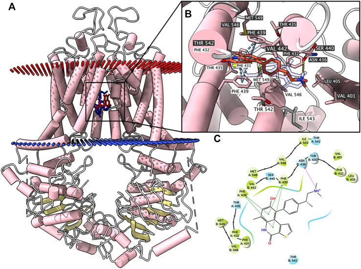 FIGURE 3