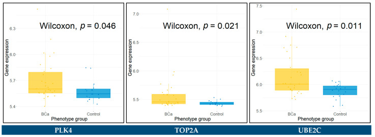 Figure 12