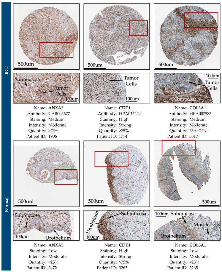 Figure 28