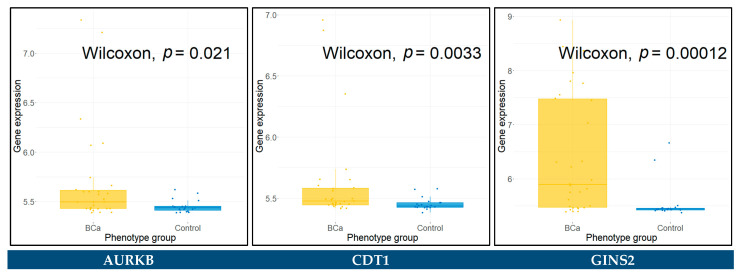 Figure 12