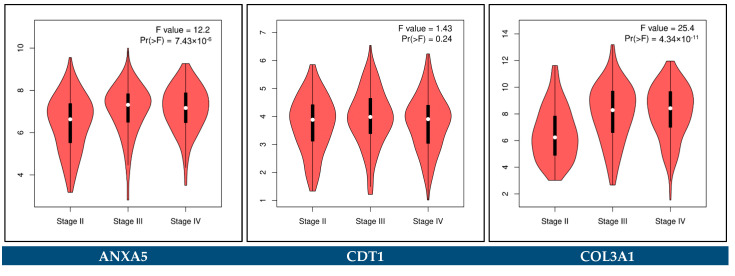 Figure 27