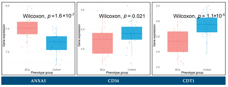 Figure 13