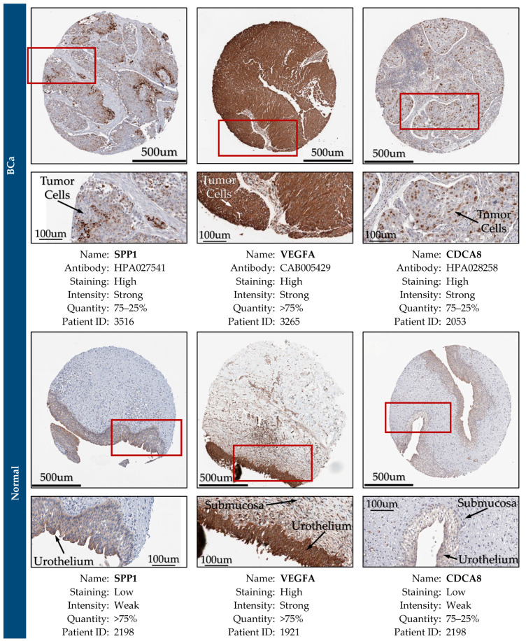 Figure 28