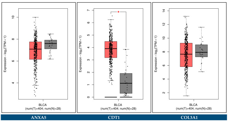 Figure 25