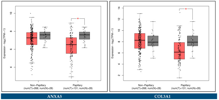 Figure 26