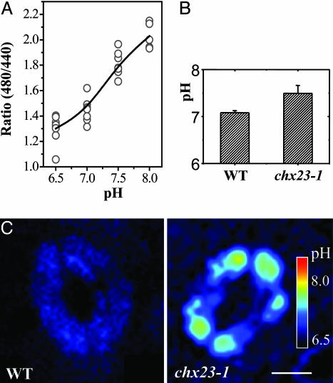 Fig. 6.