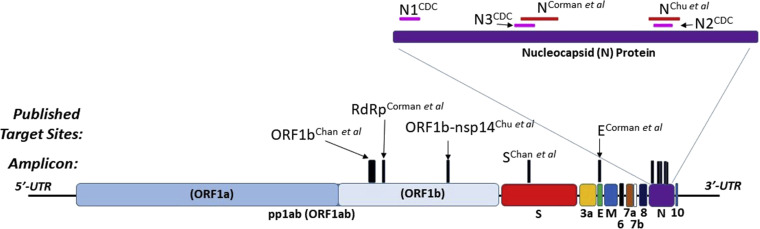 Fig 1