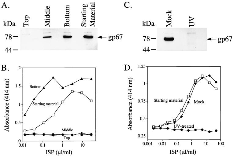 FIG. 9