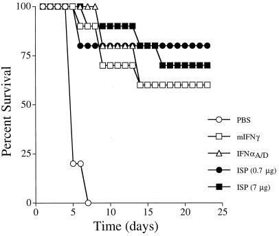 FIG. 6