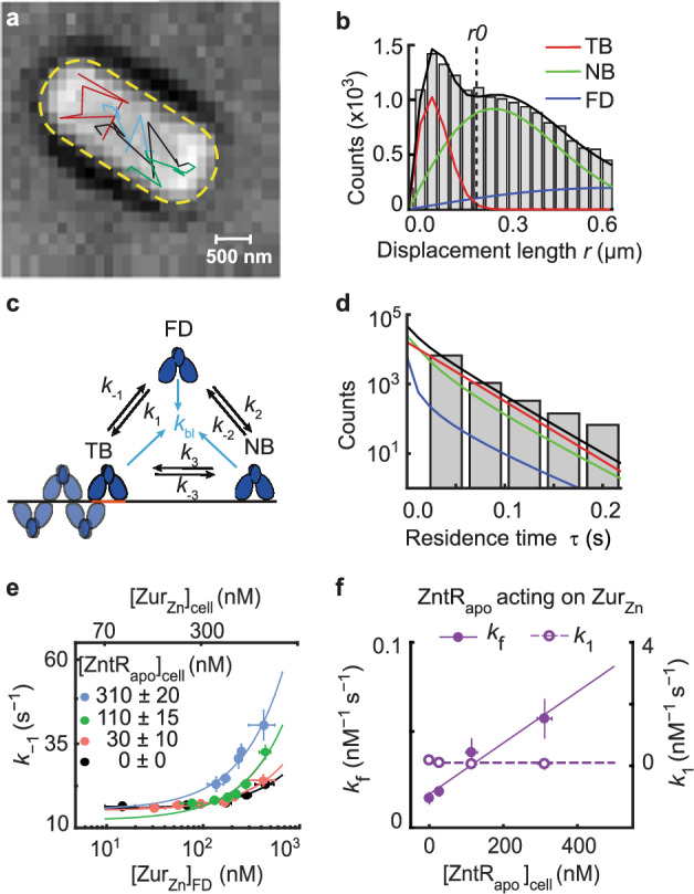 Fig. 2