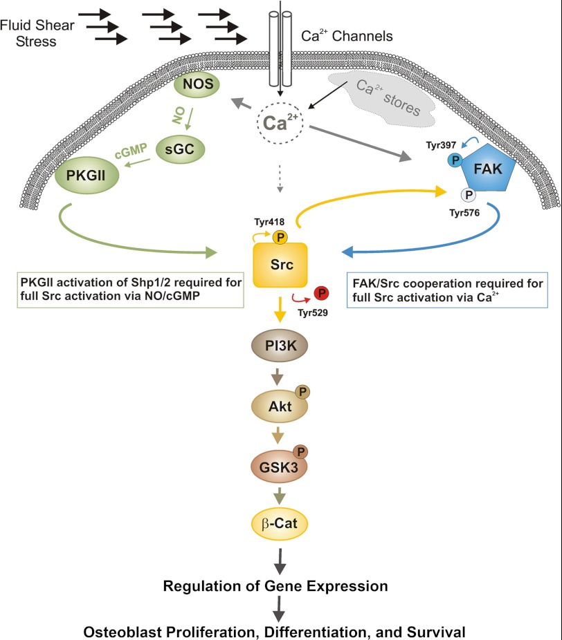 FIGURE 9.