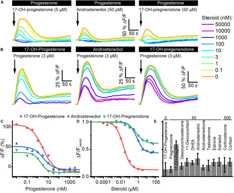 FIGURE 3